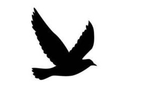 Enterprise Logo